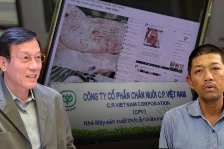 CÓ TIỀN LÀM CHỦ SỰ THẬT: VẠCH MẶT CÔNG TY BÁN GÀ HEO BỆNH, NGƯỜI TỐ CÁO LẠI THÀNH BỊ CAN