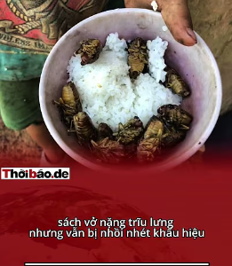GIÁO DỤC TOP 20: MƠ XA, KHẨU HIỆU TOP 1