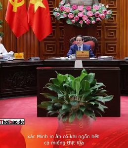 100 NGÀN THỊT LỢN: MÓN QUÀ ĐẮNG NGHẸN