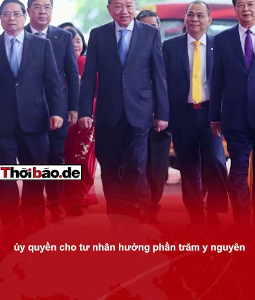 Tô Tổng cao hơn Ba X một cái đầu