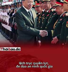 GIANG DẪN TRƯỚC – NHƯNG MỘT MÌNH CHỐNG CẢ “MẠNG NHỆN”