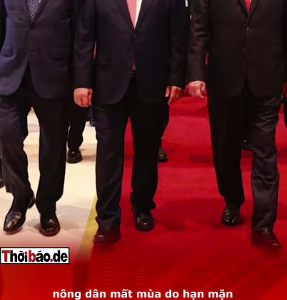 KINH TẾ VIỆT NAM „TE TUA“ DƯỚI THỜI TÂM LÔ: SỤP ĐỔ HAY SẮP SỤP?