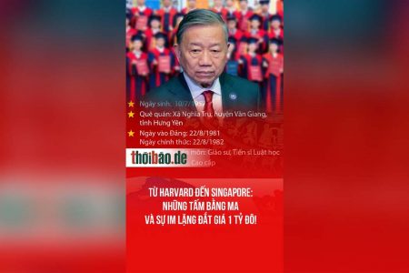 TỪ HARVARD ĐẾN SINGAPORE: NHỮNG TẤM BẰNG MA VÀ SỰ IM LẶNG ĐẮT GIÁ 1 TỶ ĐÔ!