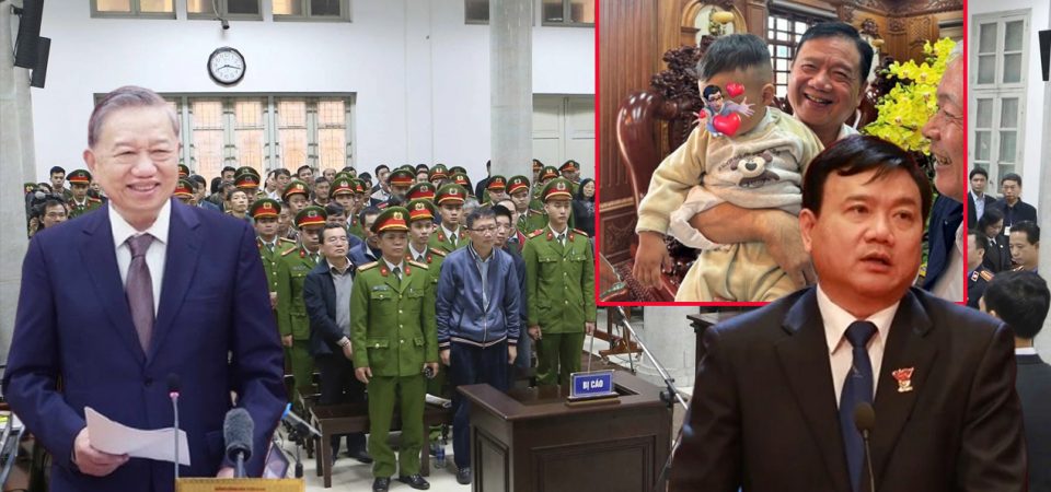 Căn Nhà Gỗ“ Và Kịch Bản Hoán Đổi 800 Tỷ Đồng