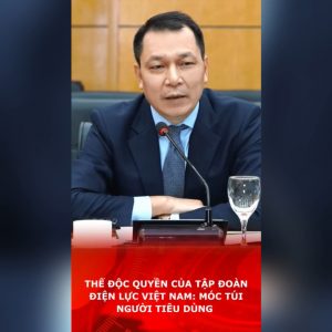 Thế độc quyền của Tập đoàn Điện lực Việt Nam: Móc túi người tiêu dùng