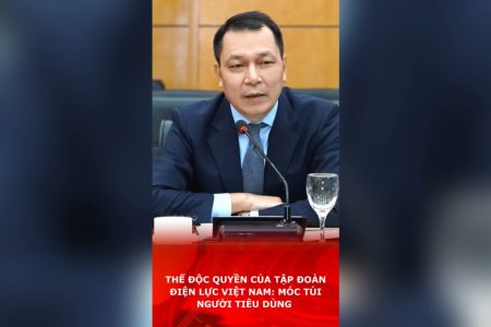 Thế độc quyền của Tập đoàn Điện lực Việt Nam: Móc túi người tiêu dùng