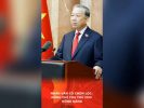 Nhân văn có chọn lọc: Đồng chí tha thứ cho đồng đảng