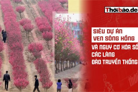 Siêu dự án ven sông Hồng và nguy cơ xóa sổ các làng đào truyền thống
