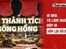 Vì sao Tô Lâm muốn đập đi xây lại Hà Nội?