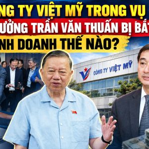 트란 반 투안 차관 체포 사건에 연루된 비엣미(Việt Mỹ) 회사는 어떻게 운영되고 있었나?